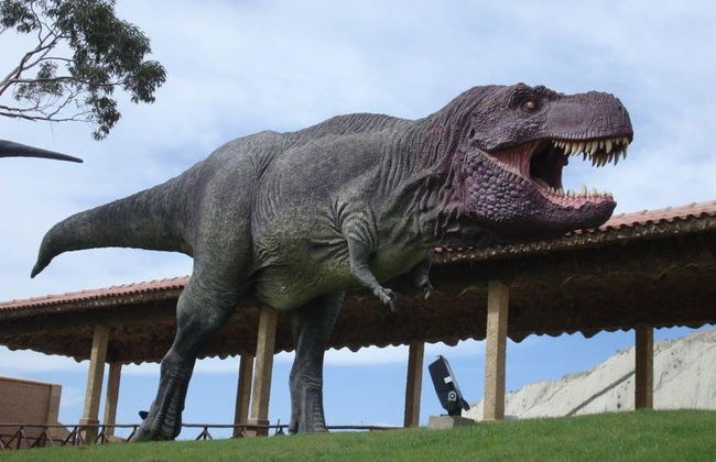 Crétacé Park : Sur les traces des dinosaures - Visite privée - Photo 3